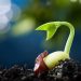 Profitability Through Sustainable Practices