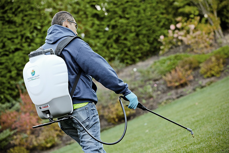 Man, Spraying, Insects, Lawn