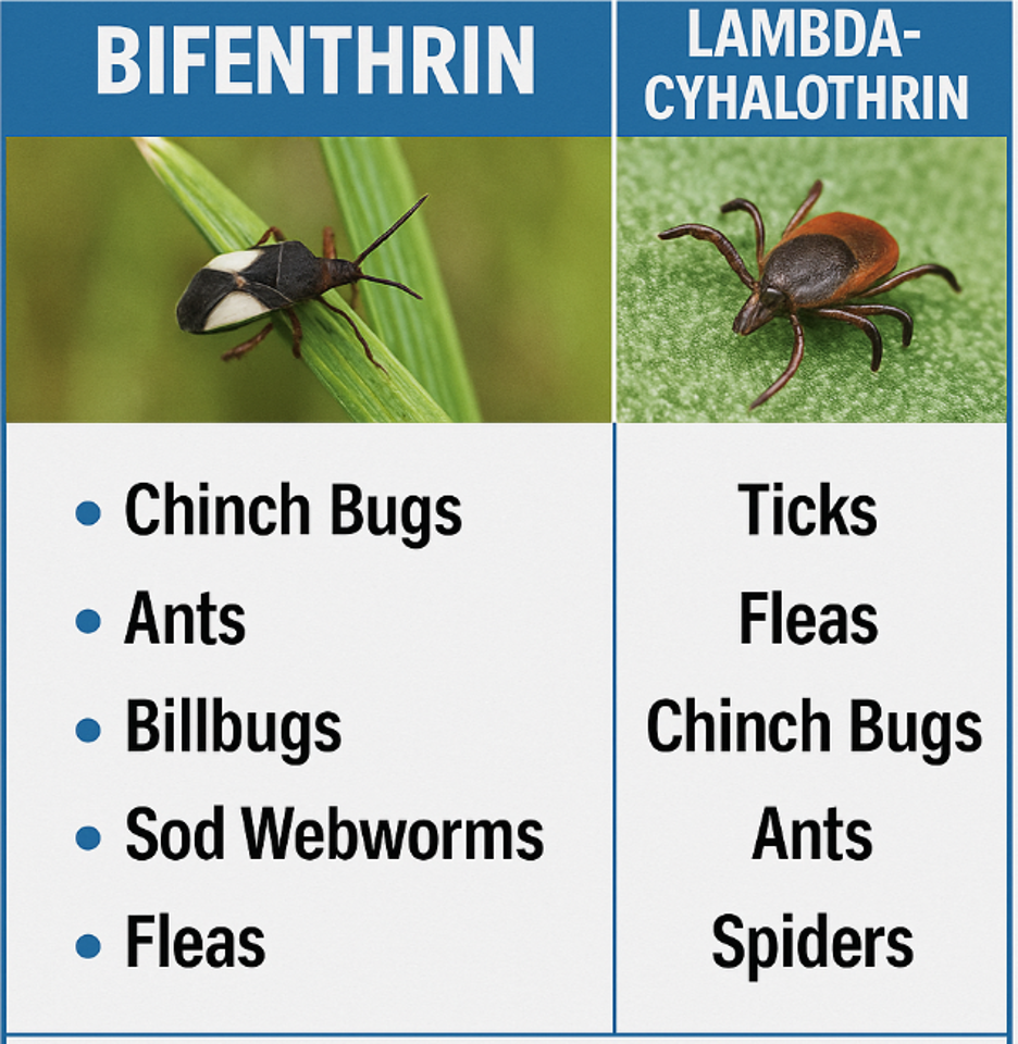 Insecticides