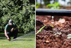 Drip, Spray, Irrigation